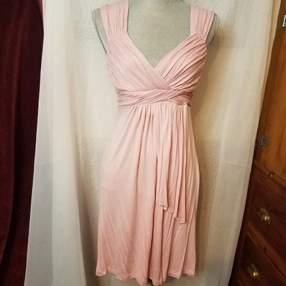 Dusty Pink Spring-Summer Dress (Julie's Closet) Never Worn/Tags On
